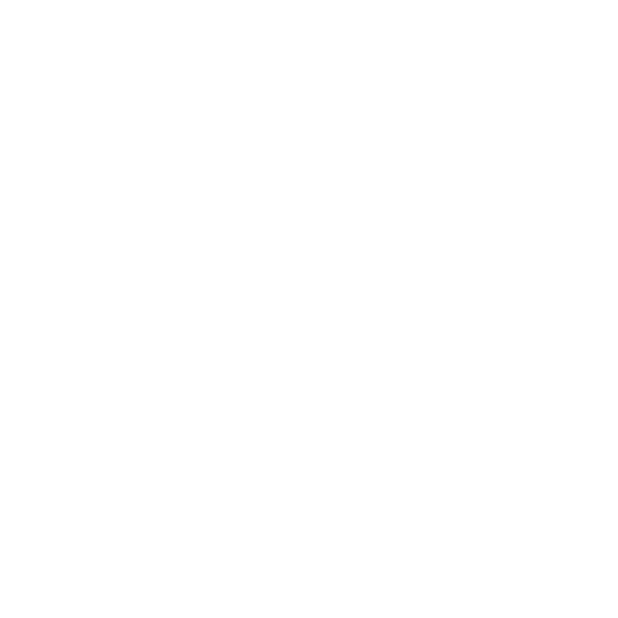 LiteSpeed